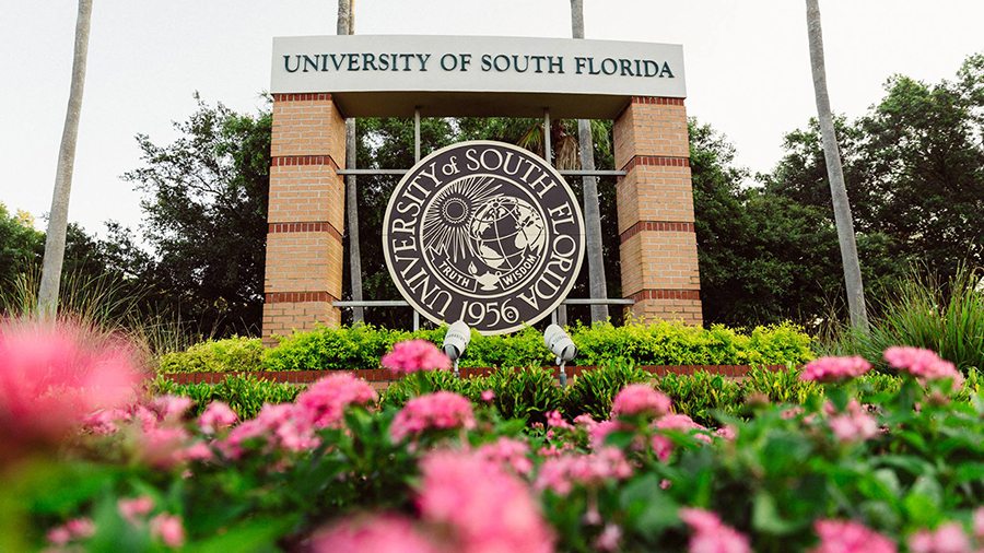 University of South Florida